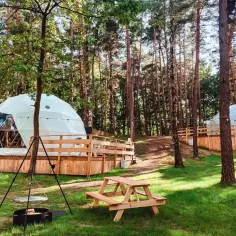 Zalesie Górne atrakcje: najlepsze miejsca na rodzinny wypad