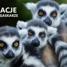 Czy na Madagaskarze jest bezpiecznie? Oto, co musisz wiedzieć przed wyjazdem
